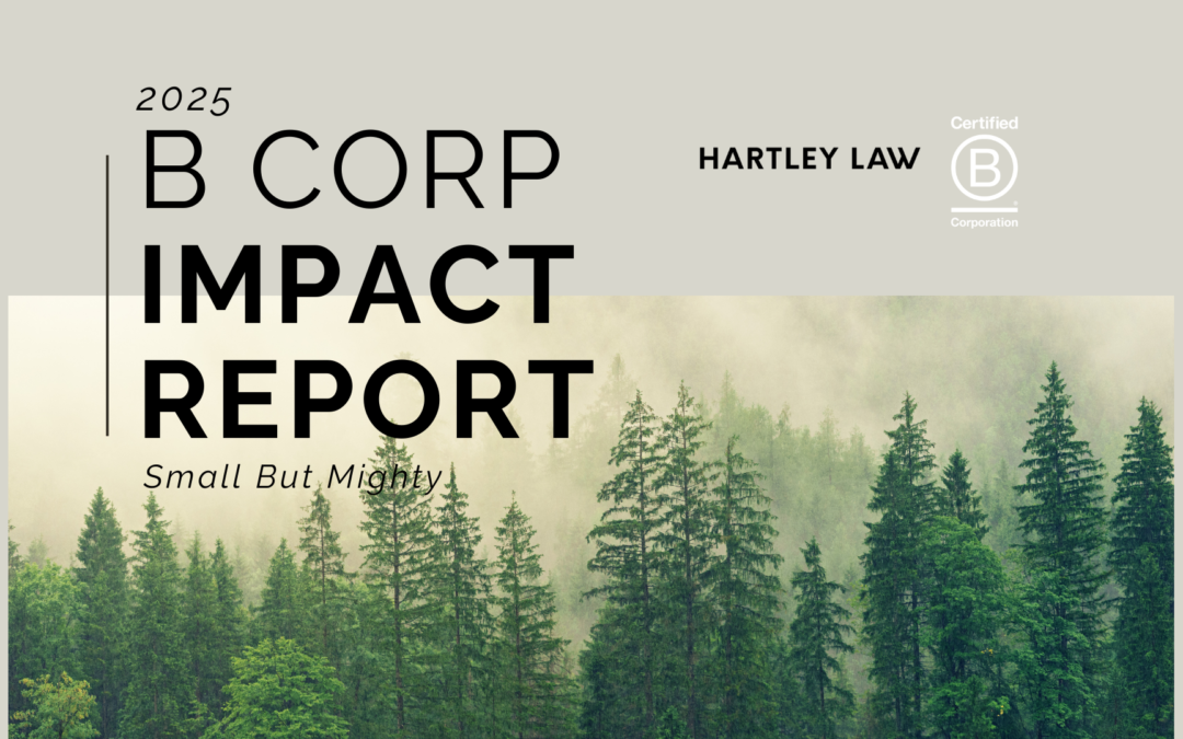 Our B Corp Impact Report 2025