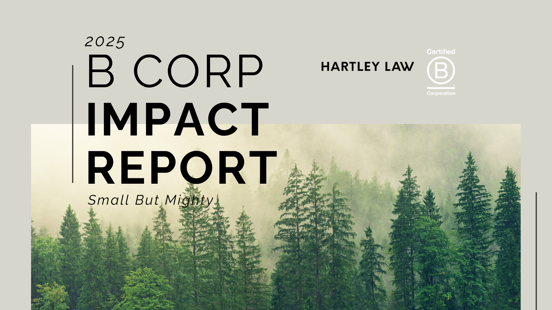 Copy of B Corp Report 2025 (1)